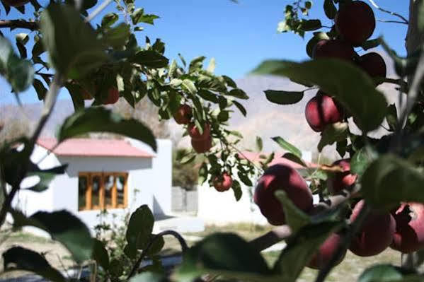 Himalayan Eco Resort Hundar Luaran gambar